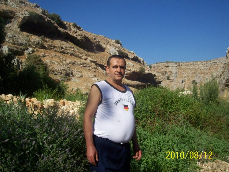 في الوزاني