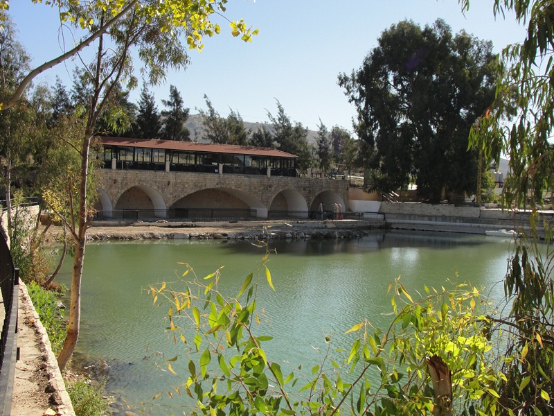 بركة الدردارة