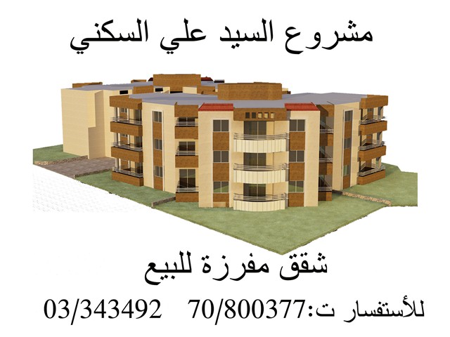 المشروع