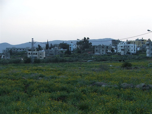 بلدة الغجر