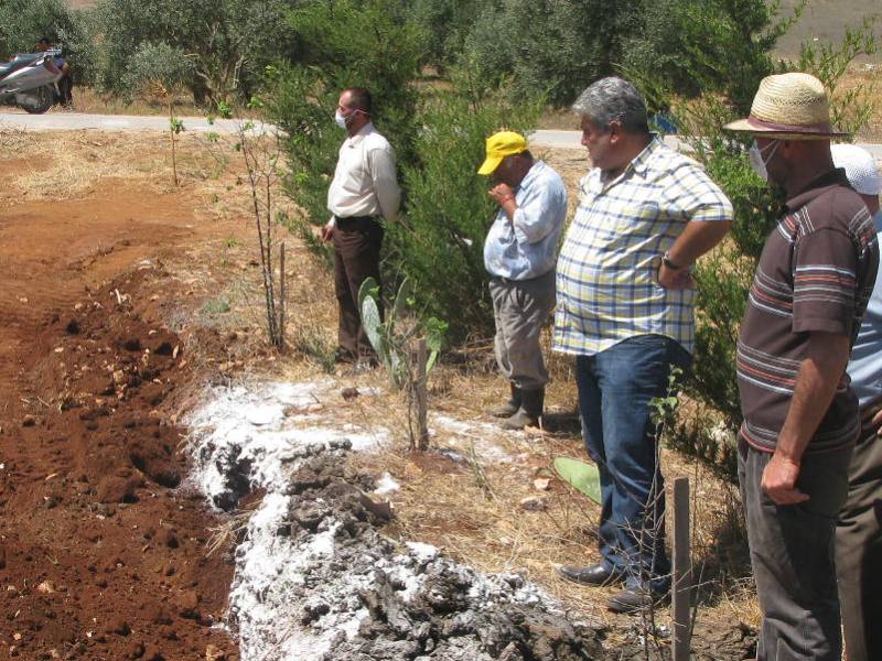 المهندس محمد عبدالله، نائب رئيس بلدية الخيام يتابع عملية إزالة البقر الميت وطمره