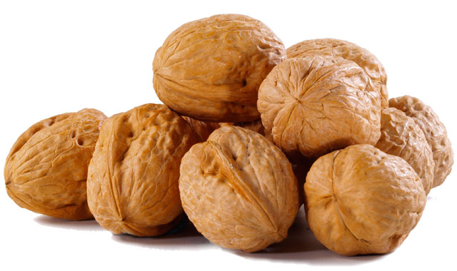 موسم الجوز في إهدن وفير كمّاً صغير حجماً