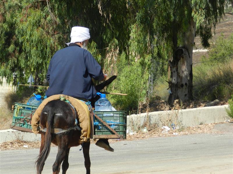 ينقل المياه على ظهر حمار في حاصبيا (طارق أبو حمدان)