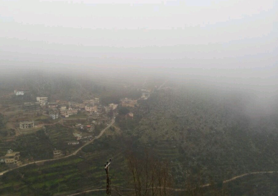 شبعا