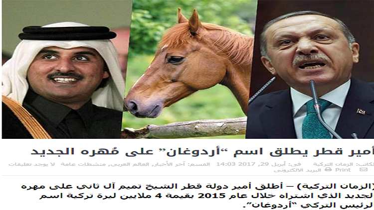 أمير دولة قطر الشيخ تميم بن حمد آل ثاني