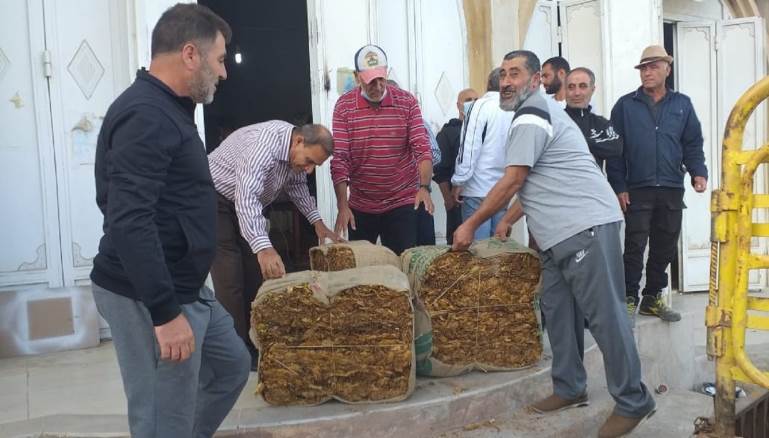 أسعار هذا الموسم بين 35 و50 ألف ليرة للكيلو الواحد (المدن)