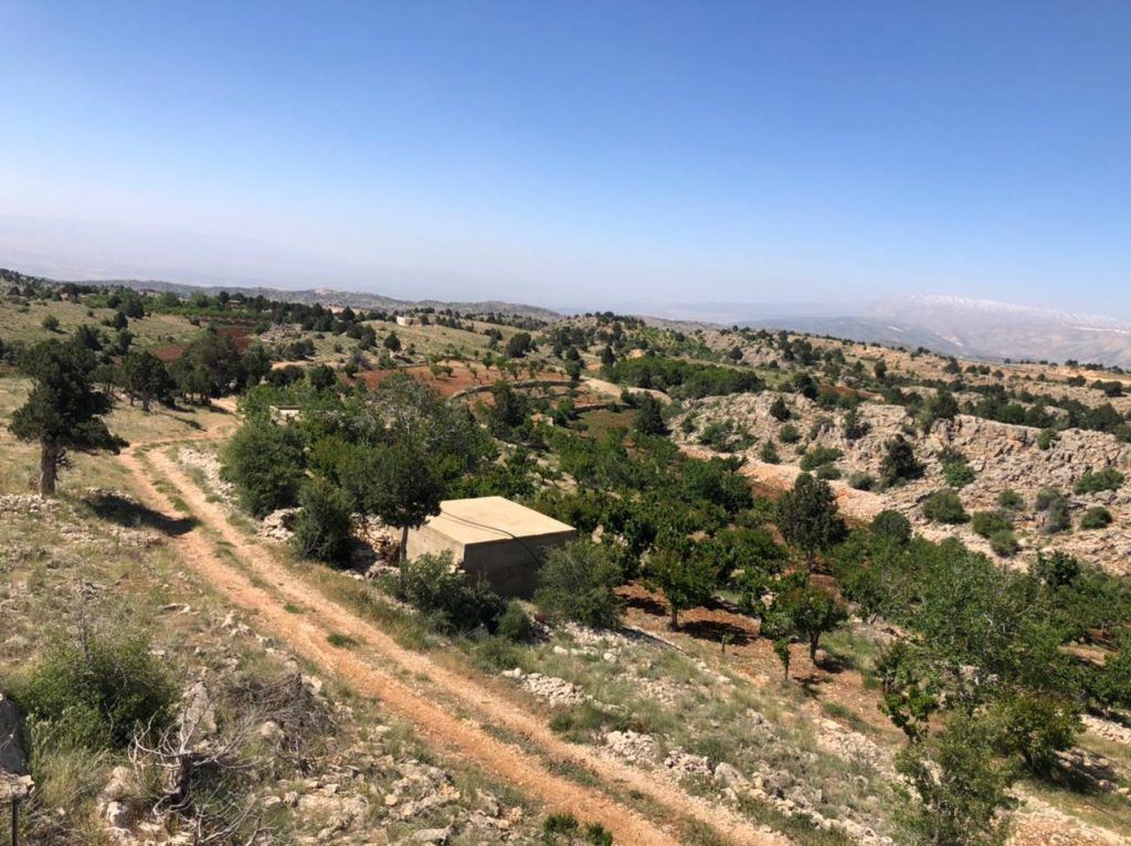 بعض الآثار