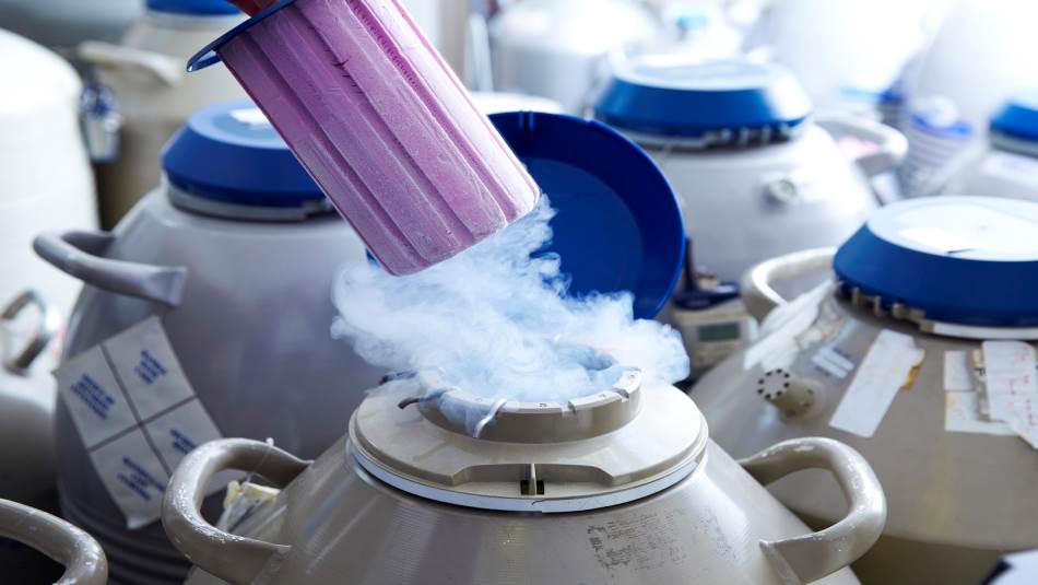 لا تحتاج عملية التجميد لأكثر من دقائق قليلة تحت تأثير البنج الموضعي (Getty)
