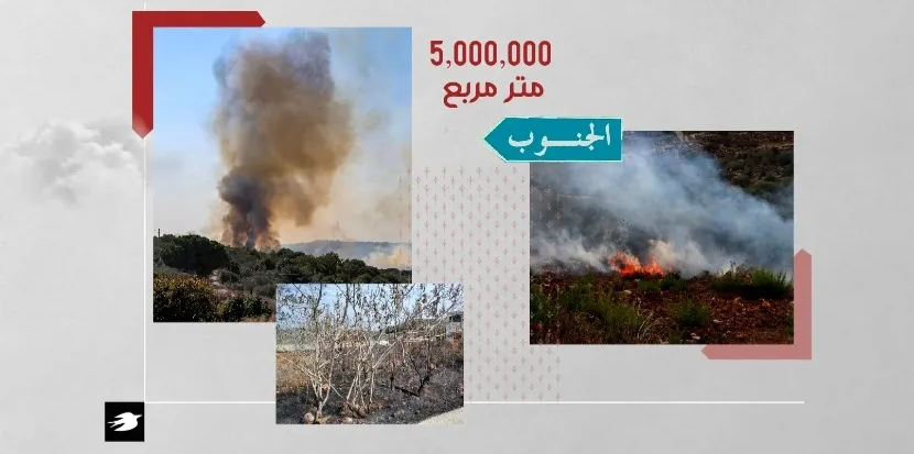 صورة حسين سعد